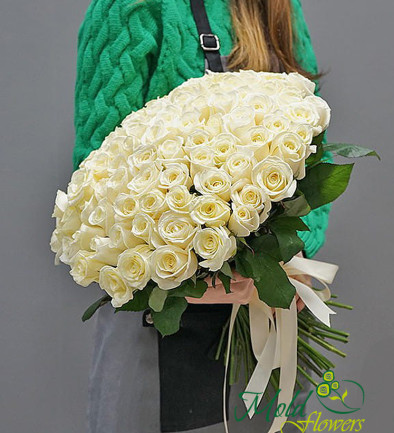 101 Белая роза голландская 50-60 см Фото 394x433